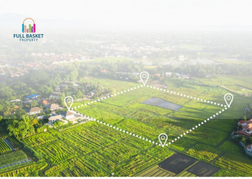 differences-between-land-and-plot-in-real-estate