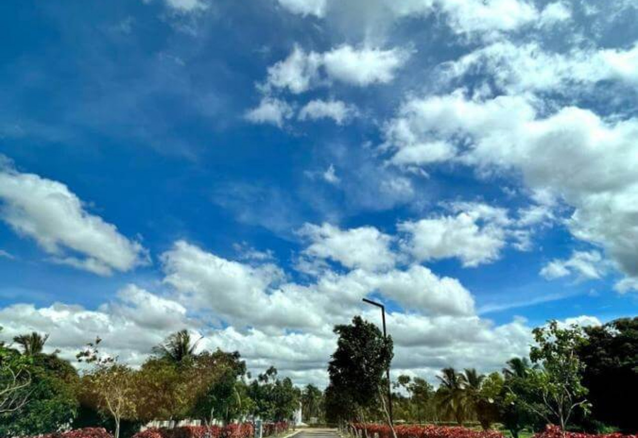 Layout-View-Manyata-Earthsong-Phase-IVC road Devanahalli Bangalore