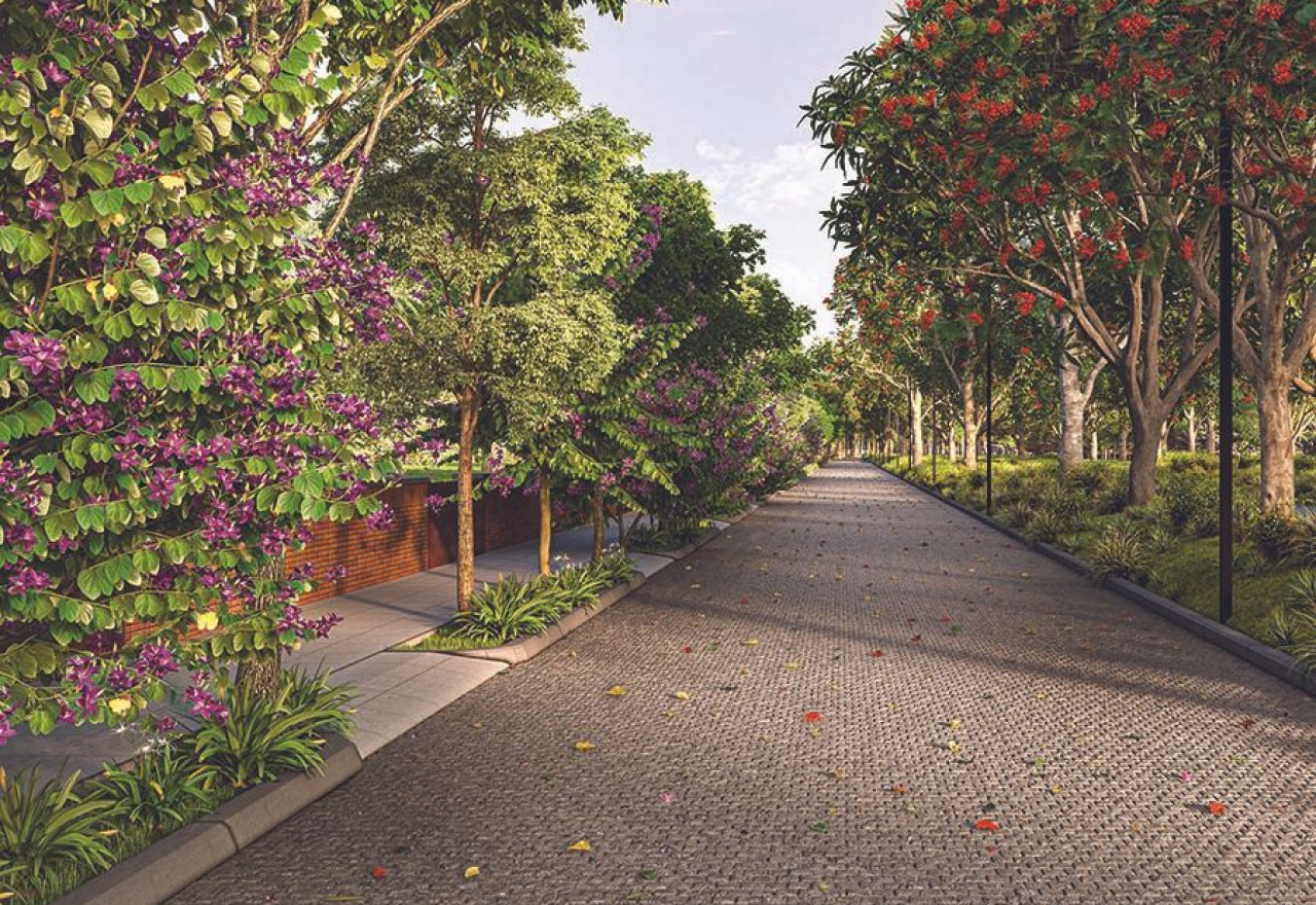 Walking Way-Total-Environment-Tangled-up-in-Green Devanahalli Bangalore